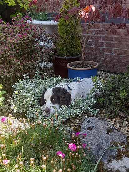Tilly Ball