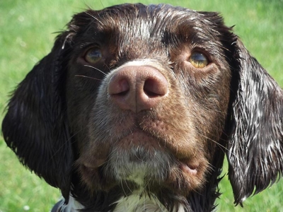 Millie