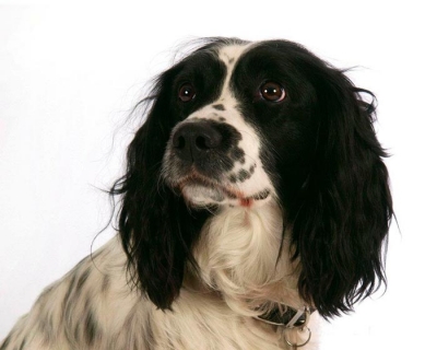 Meg