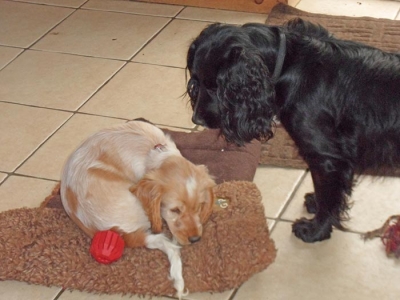 Dennis and Minnie