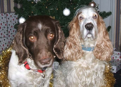 Libby and Jaffa