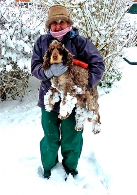 Digby