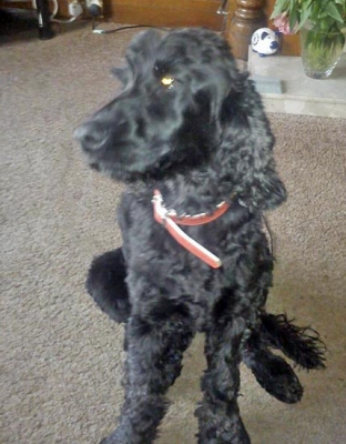 Monty