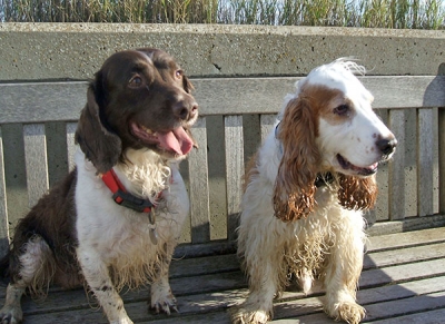 Libby and Jaffa