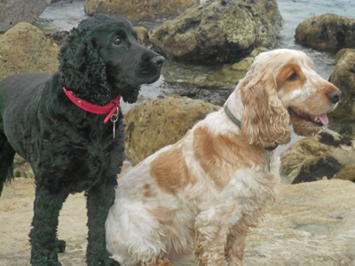 Macy & Charlie