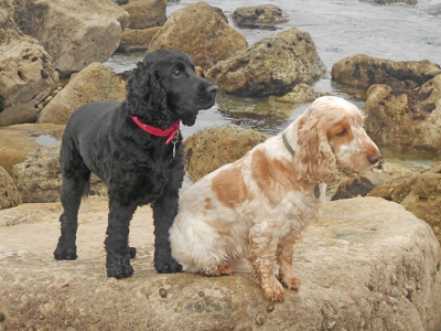 Macy & Charlie