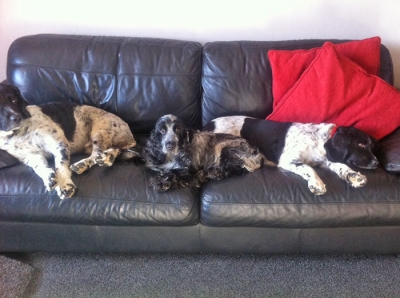 Penny with Jagger & Ivy