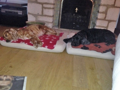 Sophie and Dyson