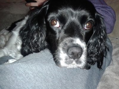 Charlie