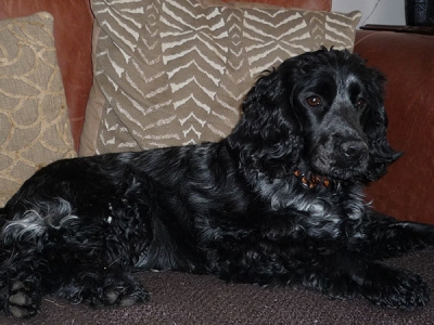 Rhona