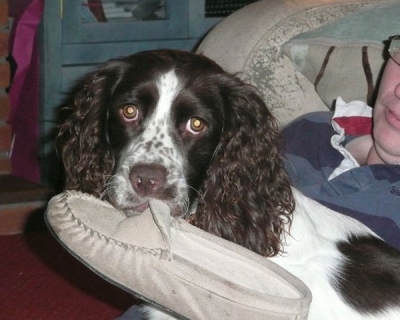 Sadie