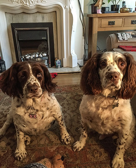 Millie & Bubbles
