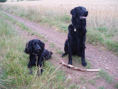 Bella and Mungo