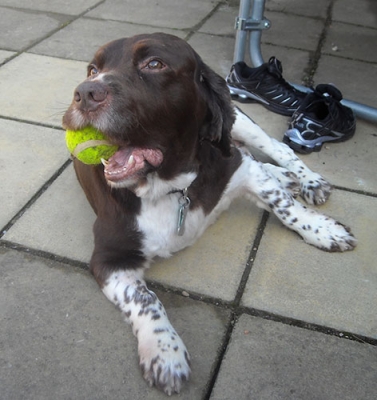Monty