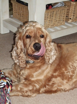Oscar