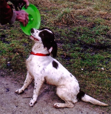 Rosie