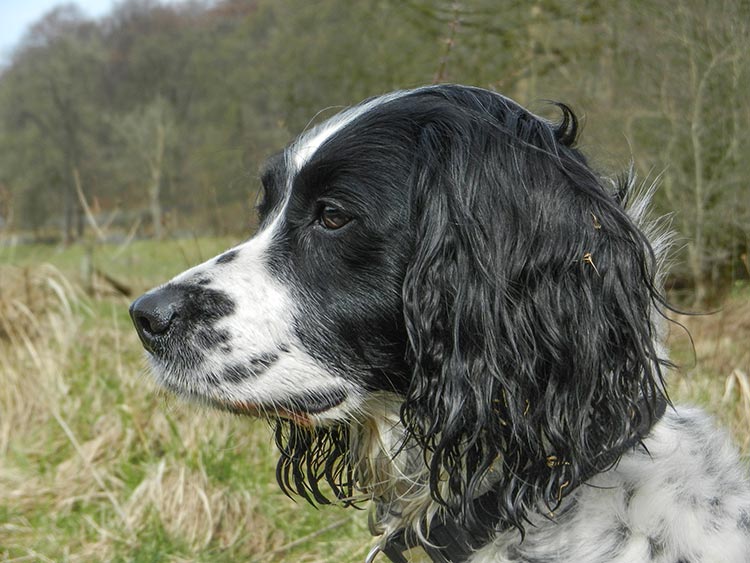 Meg