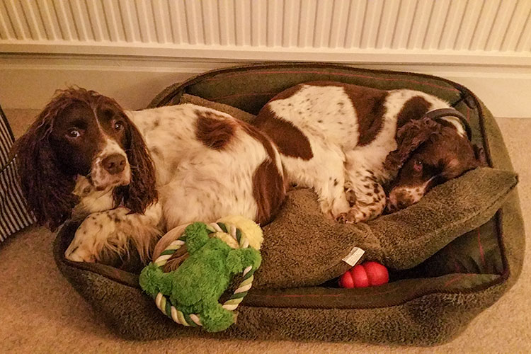 Spud and Monty