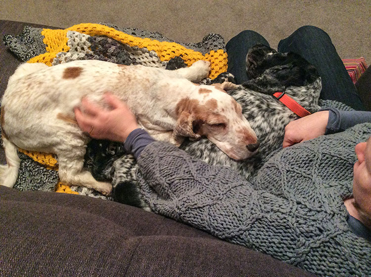 Alfie & Angus