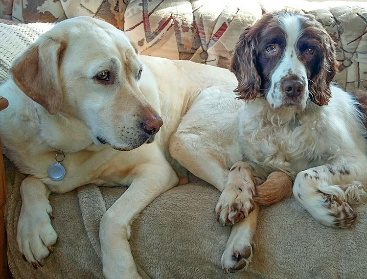 Rosie May & Jimbob
