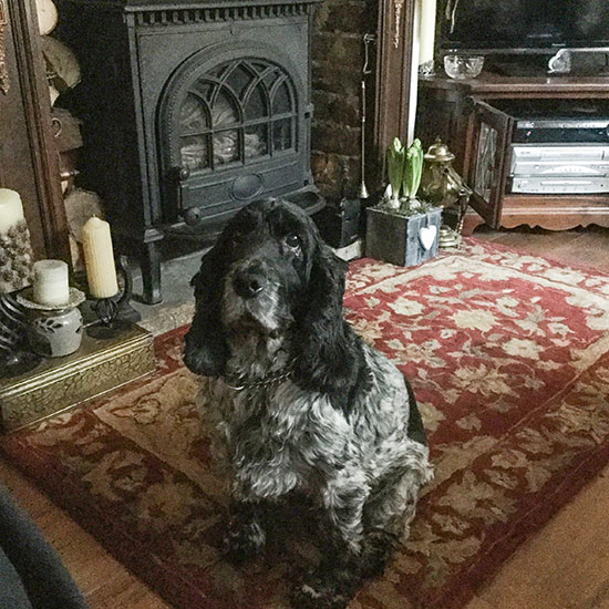 Rosie