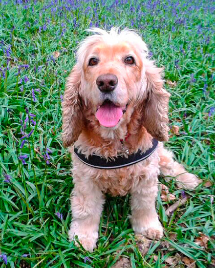 Tilly