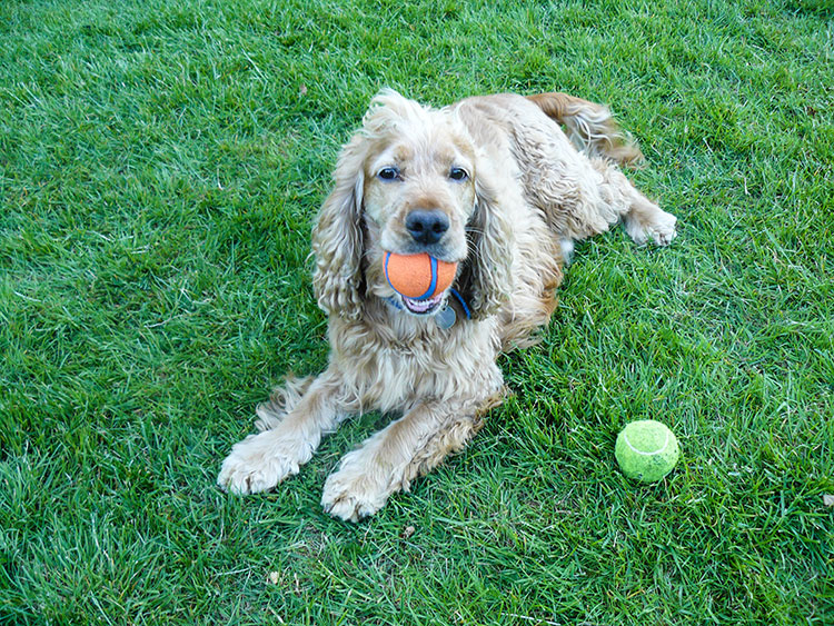 George