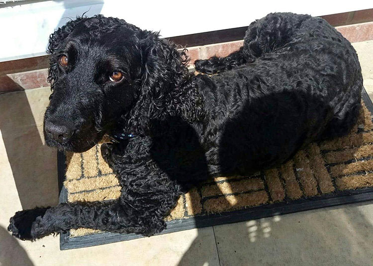 Murphy