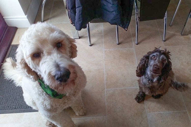 George and Ralph