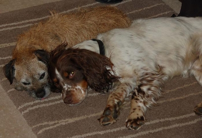 Digby and Max
